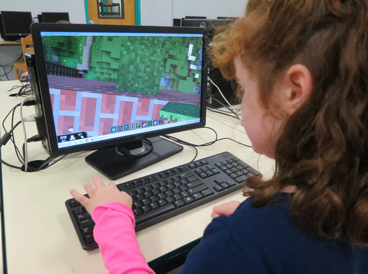 minecraft game